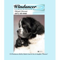 Windancer Newfoundlands logo, Windancer Newfoundlands contact details