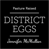 District Eggs logo, District Eggs contact details