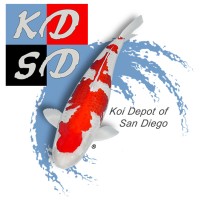 Koi Depot San Diego logo, Koi Depot San Diego contact details