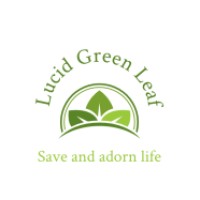 Lucid Green Leaf logo, Lucid Green Leaf contact details