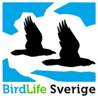 BirdLife Sverige logo, BirdLife Sverige contact details