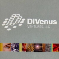 DiVenus Ventures LLC logo, DiVenus Ventures LLC contact details