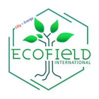 Ecofield International logo, Ecofield International contact details