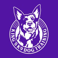 King's K9 Dog Training logo, King's K9 Dog Training contact details