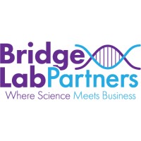 Bridge Lab Partners, LLC logo, Bridge Lab Partners, LLC contact details