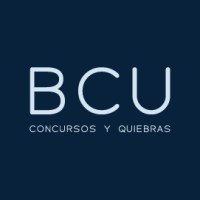 BCU Consultores logo, BCU Consultores contact details