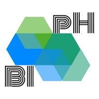 pH BI Consulting logo, pH BI Consulting contact details