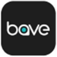 Bave Technology JSC. logo, Bave Technology JSC. contact details