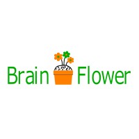 Brain Flower Services logo, Brain Flower Services contact details