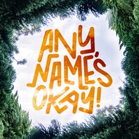 Any Name's Okay logo, Any Name's Okay contact details