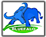 Bluefalo Co.,Ltd. logo, Bluefalo Co.,Ltd. contact details