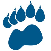 Bluebear Creative logo, Bluebear Creative contact details