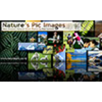 Nature's Pic Images logo, Nature's Pic Images contact details