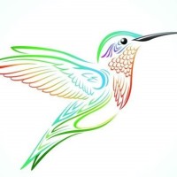 Hummingbird Logistics, Inc logo, Hummingbird Logistics, Inc contact details