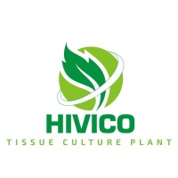 HIVICO logo, HIVICO contact details