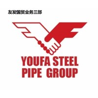 Tianjin Youfa Steel Pipe Group logo, Tianjin Youfa Steel Pipe Group contact details