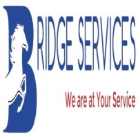 BRIDGE SERVICE logo, BRIDGE SERVICE contact details