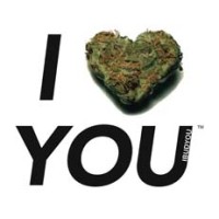 I Bud You Holdings logo, I Bud You Holdings contact details