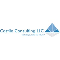 Castile Consulting LLC logo, Castile Consulting LLC contact details