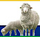 Livestock Contractors Association logo, Livestock Contractors Association contact details