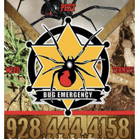 Bug Emergency logo, Bug Emergency contact details