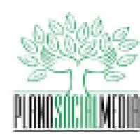 Plano Social Media logo, Plano Social Media contact details