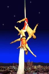 Hollywood Aerial Arts logo, Hollywood Aerial Arts contact details