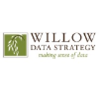 Willow Data Strategy logo, Willow Data Strategy contact details