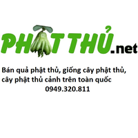 Phật thủ Đắc Sở logo, Phật thủ Đắc Sở contact details