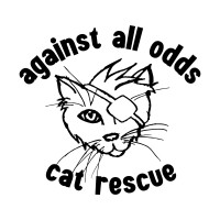 Against All Odds Cat Rescue logo, Against All Odds Cat Rescue contact details