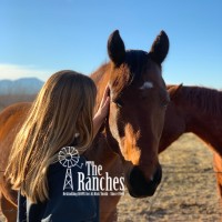 The New Mexico Boys & Girls Ranch logo, The New Mexico Boys & Girls Ranch contact details