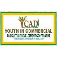 Youth in Commercial Agriculture Development logo, Youth in Commercial Agriculture Development contact details