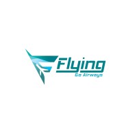 FLYING GO AIRWAYS TRAVELS PRIVATE LIMITED logo, FLYING GO AIRWAYS TRAVELS PRIVATE LIMITED contact details