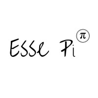 Esse Pi Pte Ltd logo, Esse Pi Pte Ltd contact details