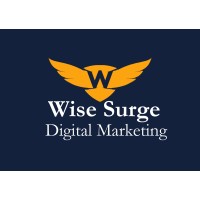 WiseSurge logo, WiseSurge contact details