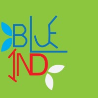 BlueInd Consulting Services logo, BlueInd Consulting Services contact details