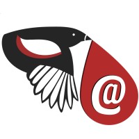 EmailMagpie.com logo, EmailMagpie.com contact details