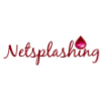 Netsplashing Website Design & Digital Strategies logo, Netsplashing Website Design & Digital Strategies contact details