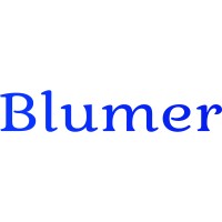 BLUMER NEWS logo, BLUMER NEWS contact details