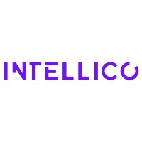 INTELLICO AS logo, INTELLICO AS contact details