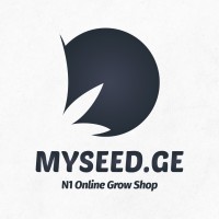 MYSEED.GE logo, MYSEED.GE contact details