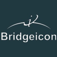 Bridgeicon IT Services logo, Bridgeicon IT Services contact details