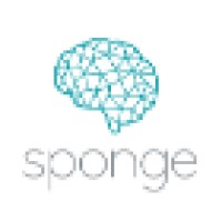 Sponge Consultancy logo, Sponge Consultancy contact details