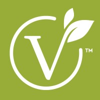 VeGo LLC logo, VeGo LLC contact details