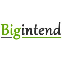 Bigintend logo, Bigintend contact details