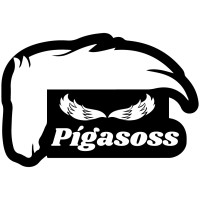 Pígasos logo, Pígasos contact details