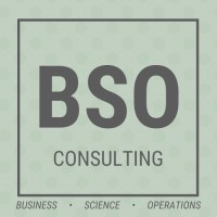 BSO Consulting, LLC logo, BSO Consulting, LLC contact details