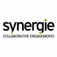 Synergie Group Pte. Ltd. logo, Synergie Group Pte. Ltd. contact details