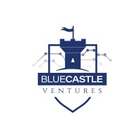 Blue Castle Ventures LTD logo, Blue Castle Ventures LTD contact details