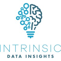 Intrinsic Data Insights logo, Intrinsic Data Insights contact details